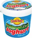 Yogurt, Suntat, 1000g