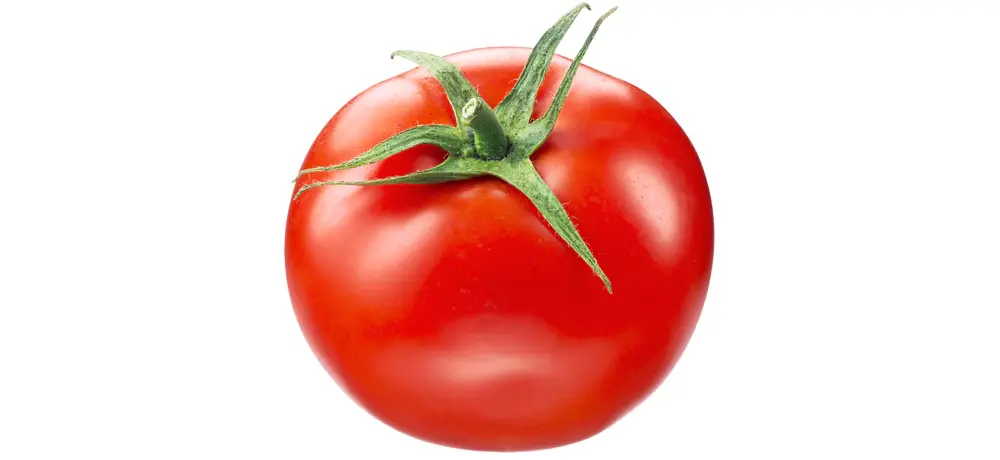 Tomate Ronde