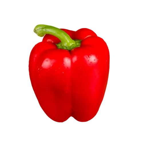Poivron Rouge