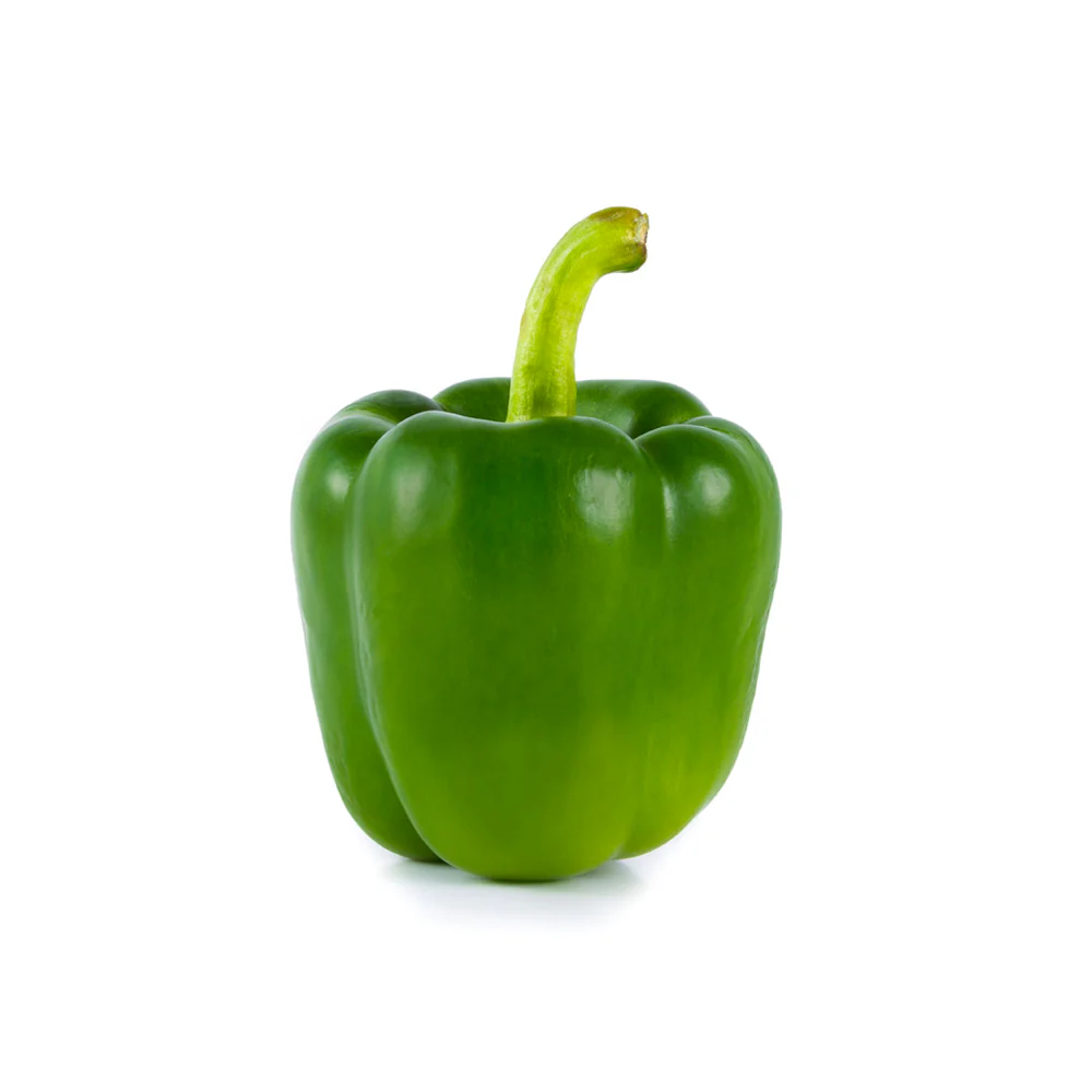 Poivron Vert