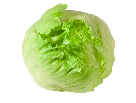 Salade Iceberg