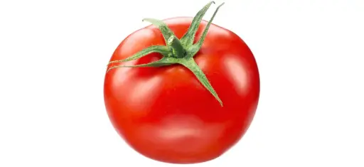 Tomate Ronde