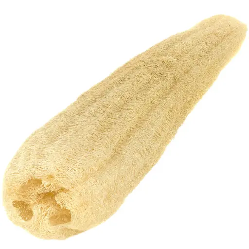 loofah